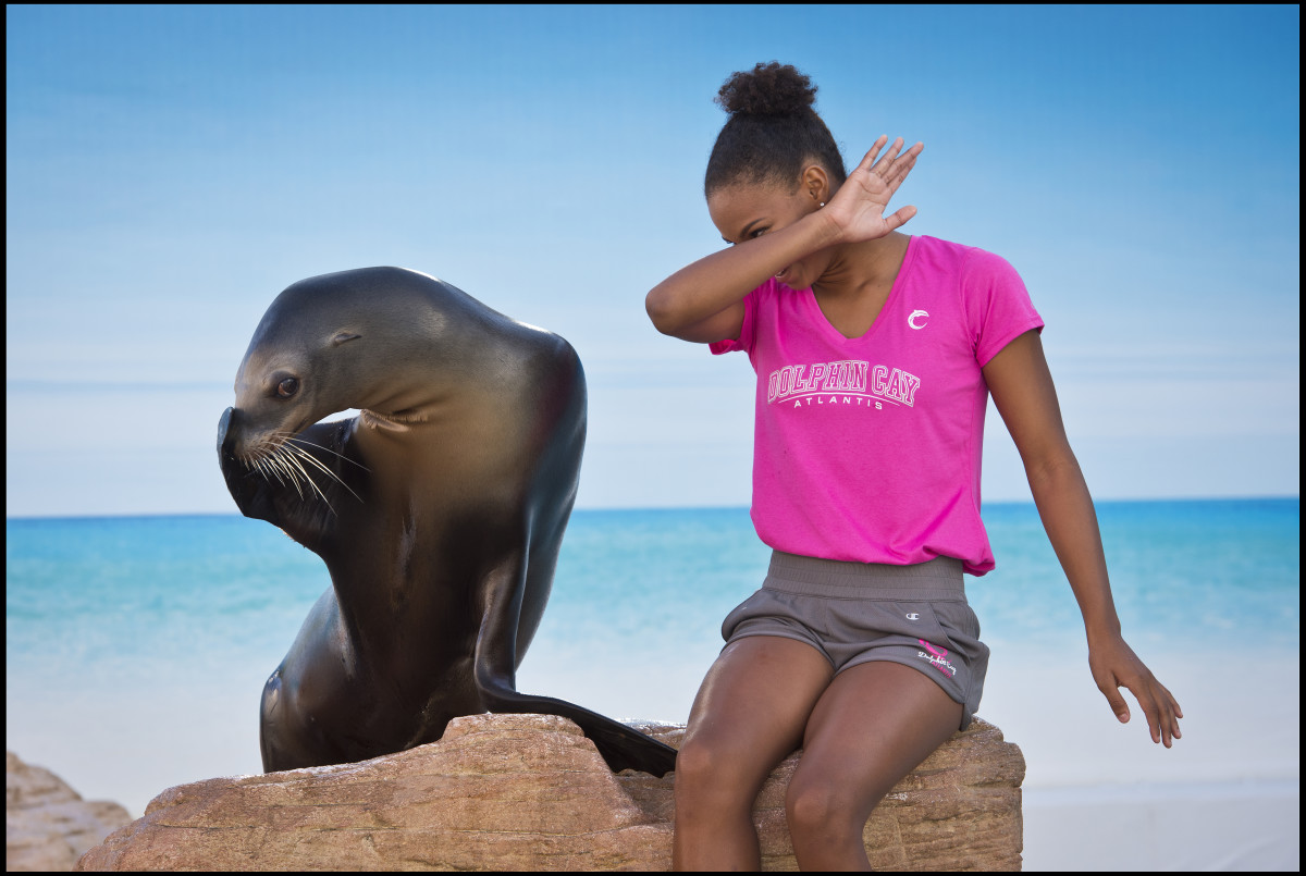 Playtime With Sea Lion_2 - GALLERY.jpg